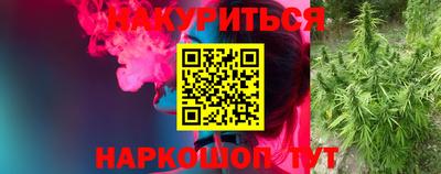 соль ск Новозыбков
