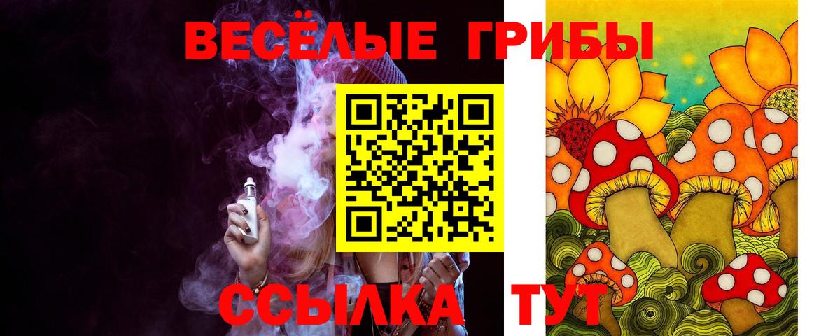 наркотики  Вход с VPN  Тулун  Галлюциногенные грибы прущие грибы 